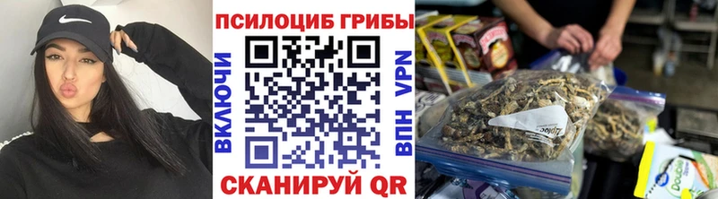 Купить где  Курганинск  Галлюциногенные грибы Cubensis 